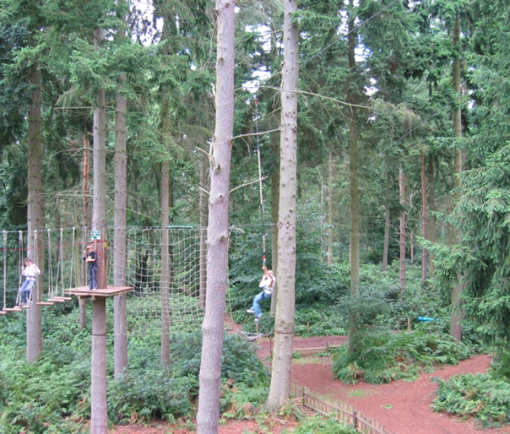 Go Ape In Thetford Forest Family Discover Norfolk