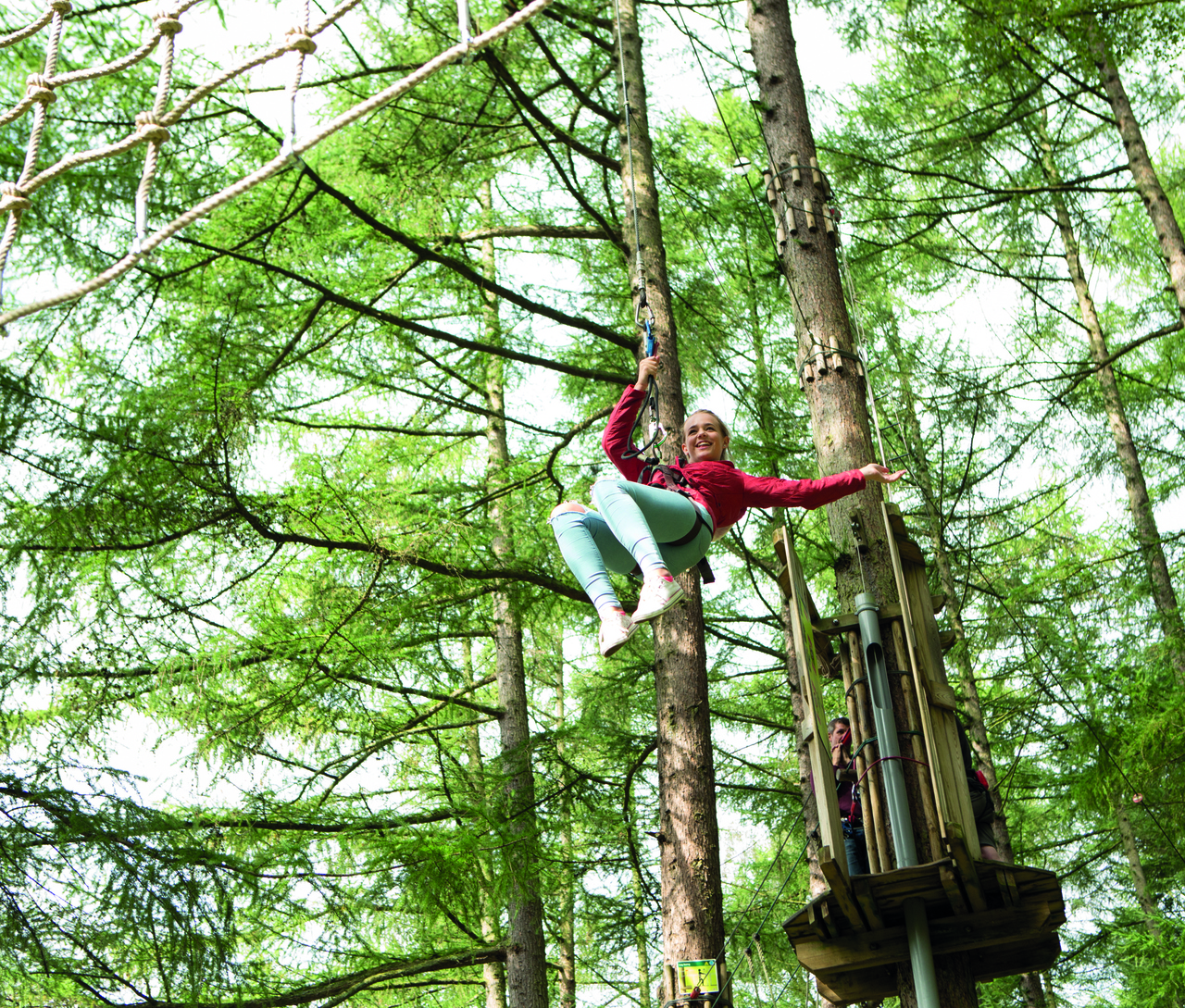 Go Ape In Thetford Forest Family Discover Norfolk Go Ape In Thetford Forest Family Discover Norfolk