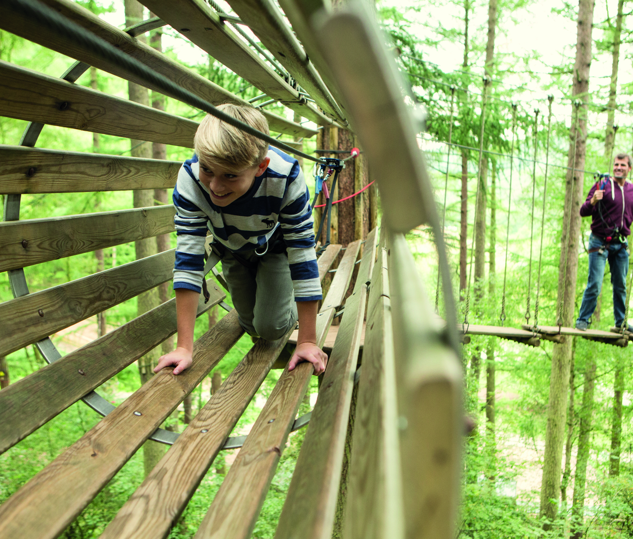 Go Ape In Thetford Forest Family Discover Norfolk