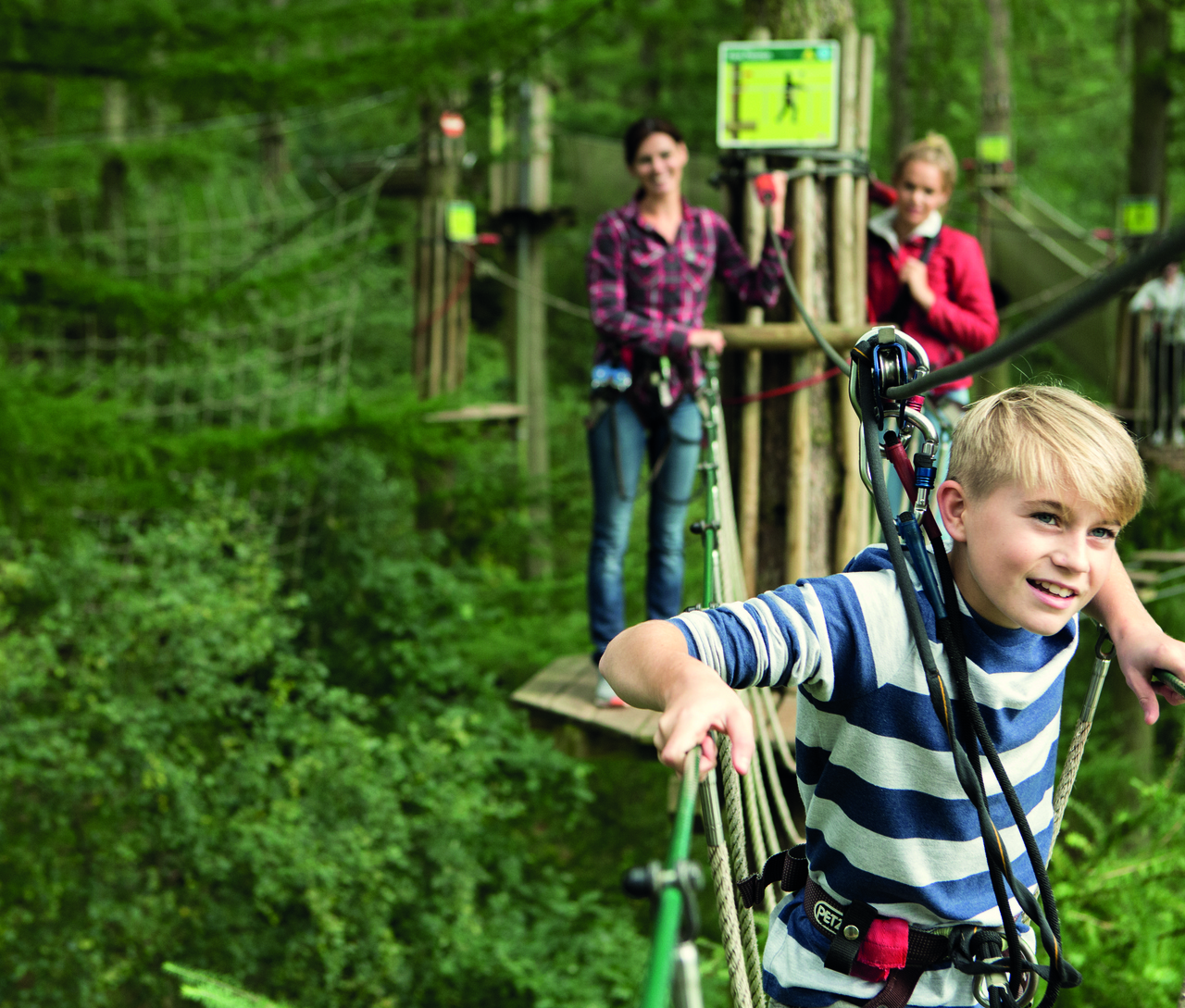 Go Ape In Thetford Forest Family Discover Norfolk