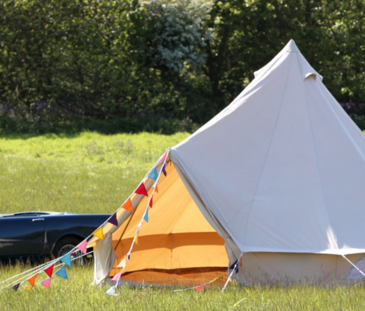Forest Park In Norfolk Under The Stars Discover Norfolk