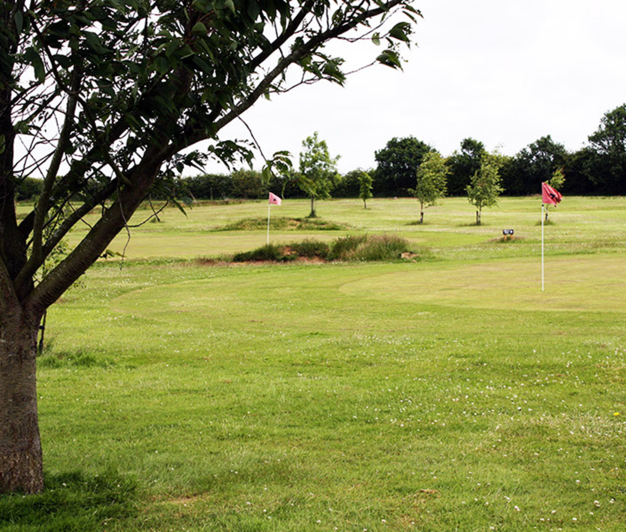 Fakenham Fairways, Fakenham, Norfolk Golf course information and reviews.