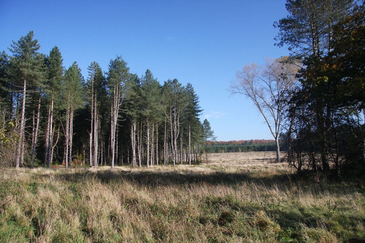 The Brecks and South Norfolk Vista