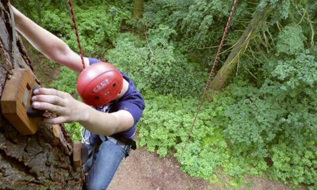 Tree climbing at ExTREEme Adventure