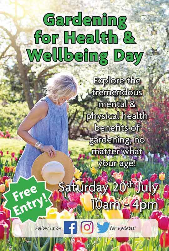 Wellbeing Day 2019