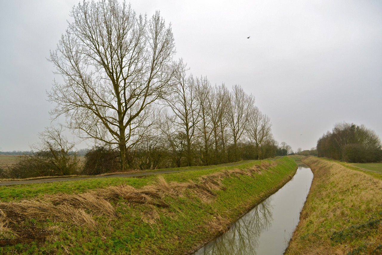 Fenland Drainage Dyke