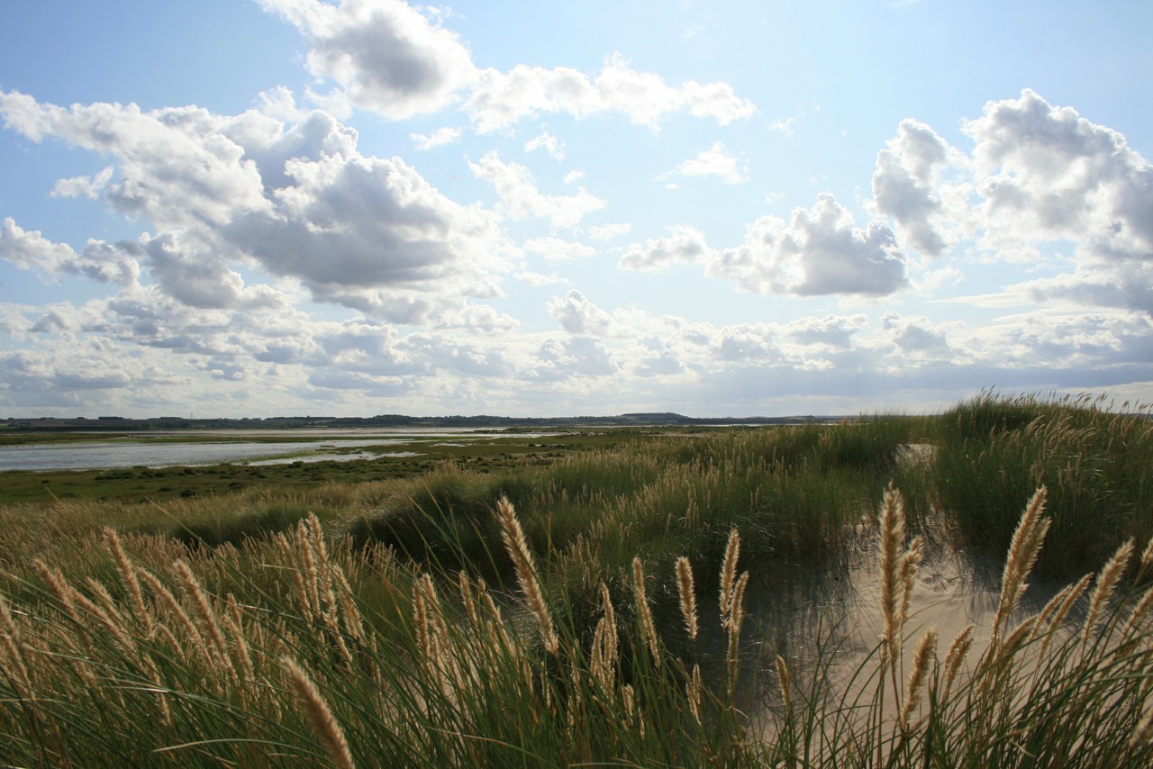 Dunes at Scolt Head