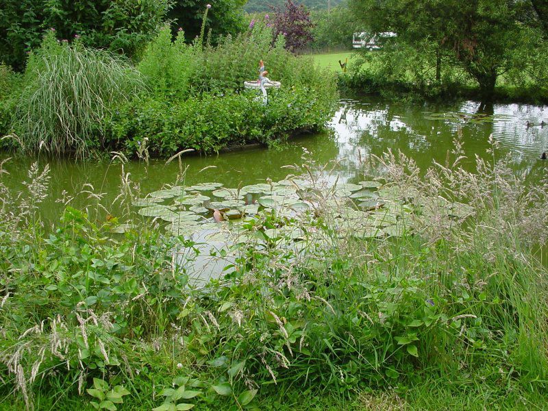 Sunnydene Campsite Pond