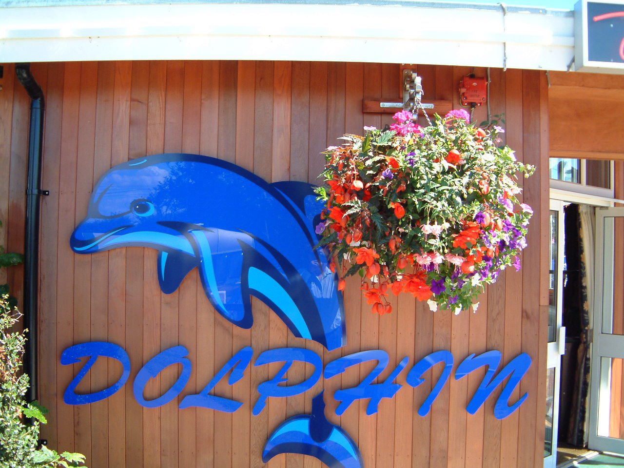 Long Beach Dolphin Bar