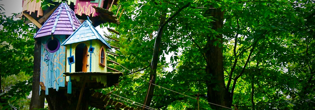 Bewilderwood