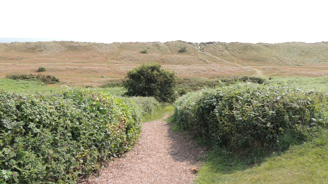 Path to the Valley in Winterton Norfolk