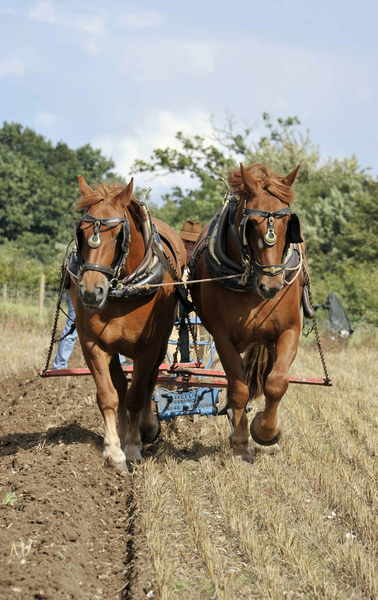 Gressenhall Farm & Workhouse | Family | Discover Norfolk