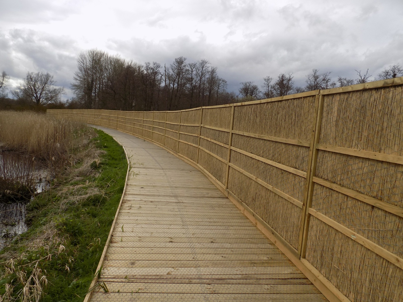 Boardwalk and Screen at Sculthorpe Moor