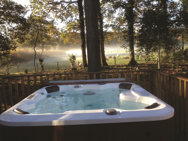 Hot Tub with a View in a Dream Lodge park 1