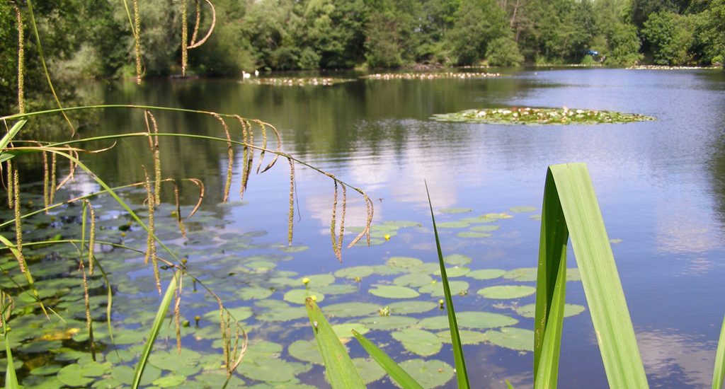 Utopia Paradise Caravan Park Motorhome Park Touring Park Discover