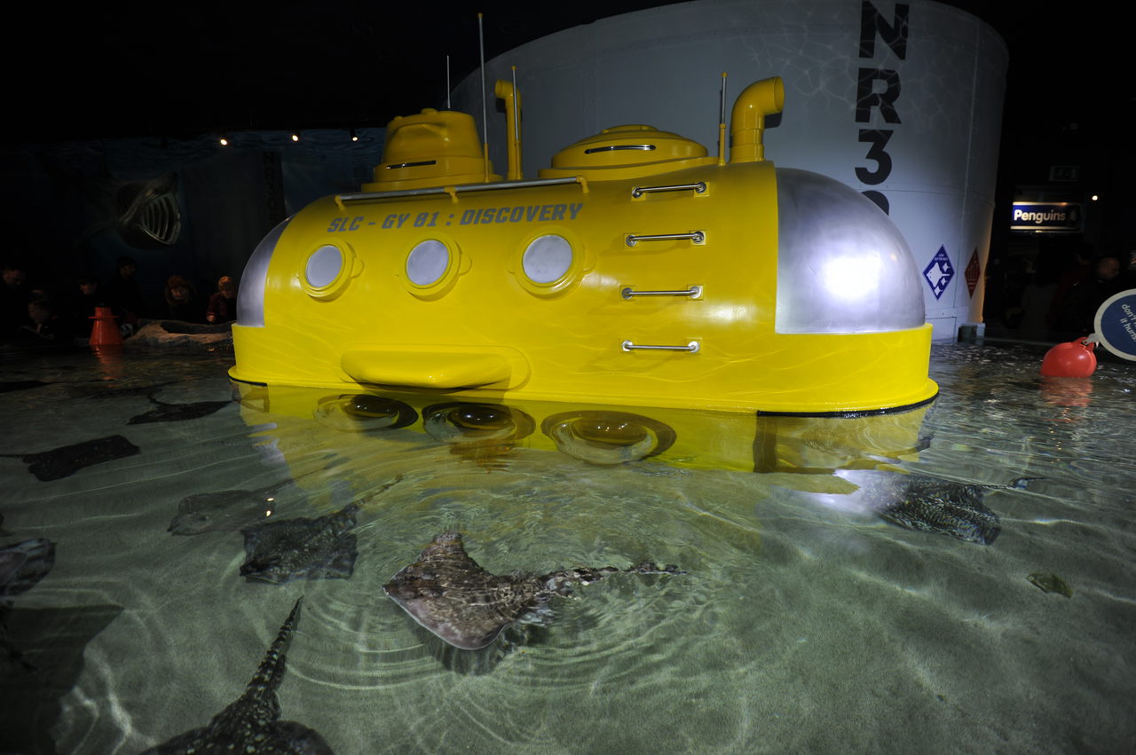 Jd Sealife Yellow Submarine86
