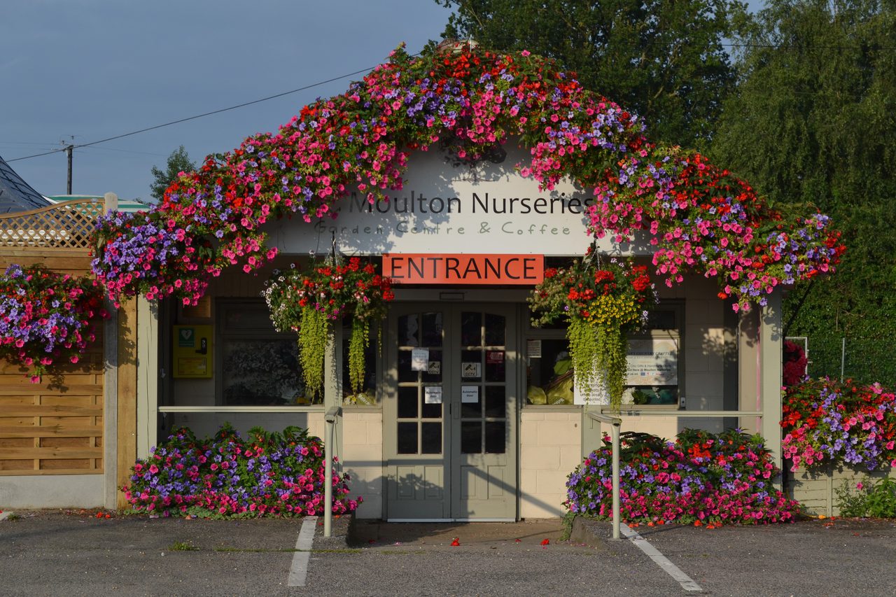 Moulton Nurseries | Garden Centre | Coffee Shop | Gifts | Discover Norfolk